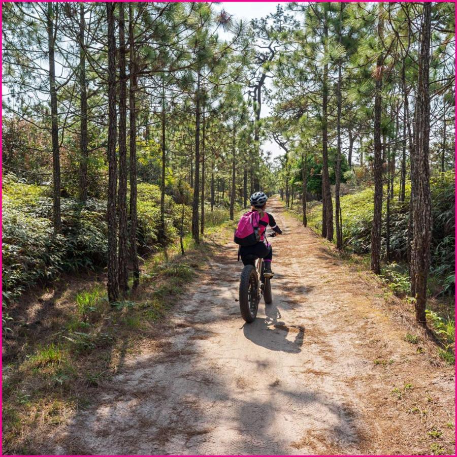 Mobilhome 2Ch Climatise-Terrasse Fermee-4 Velos-Camping 4 Etoiles Les Charmettes Les Mathes Exteriör bild